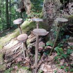 Gespräch unter Bäumen