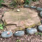 Die Schönheit des Stein-Seins