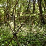 Waldboote